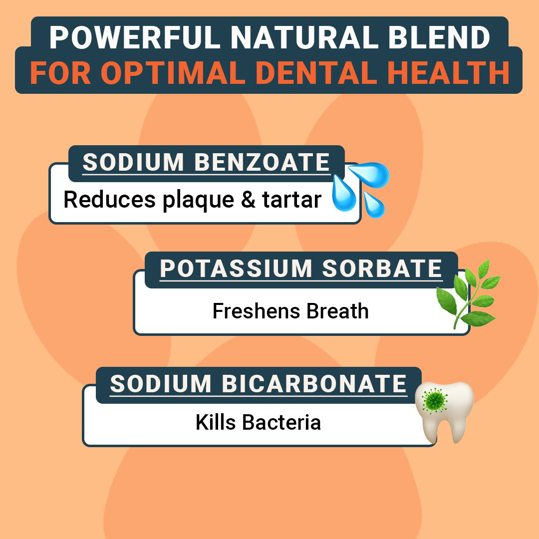 Dental Care (US)