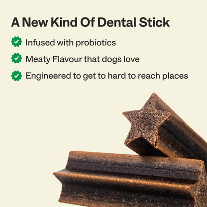 Dental Sticks
