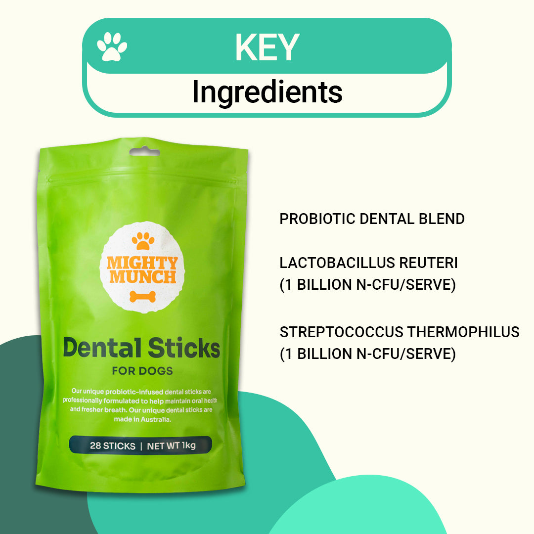 Dental Sticks (US)