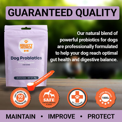 Dog Probiotics