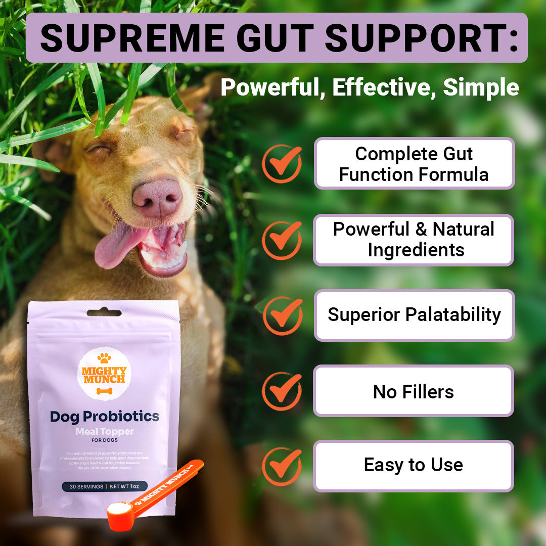 Dog Probiotics (US)