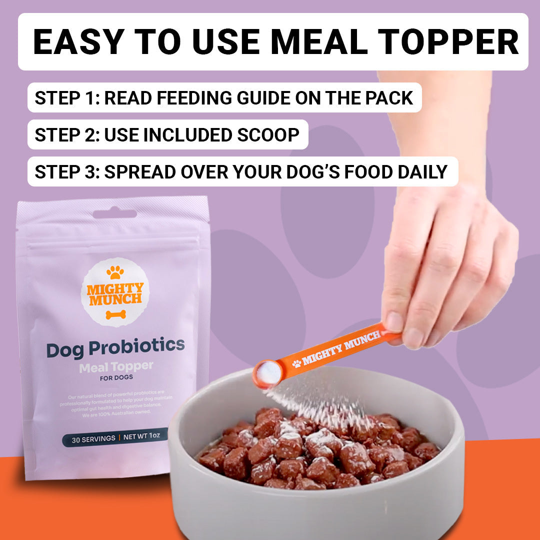 Dog Probiotics Promo (US)