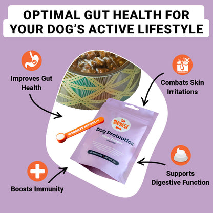 Dog Probiotics (US)