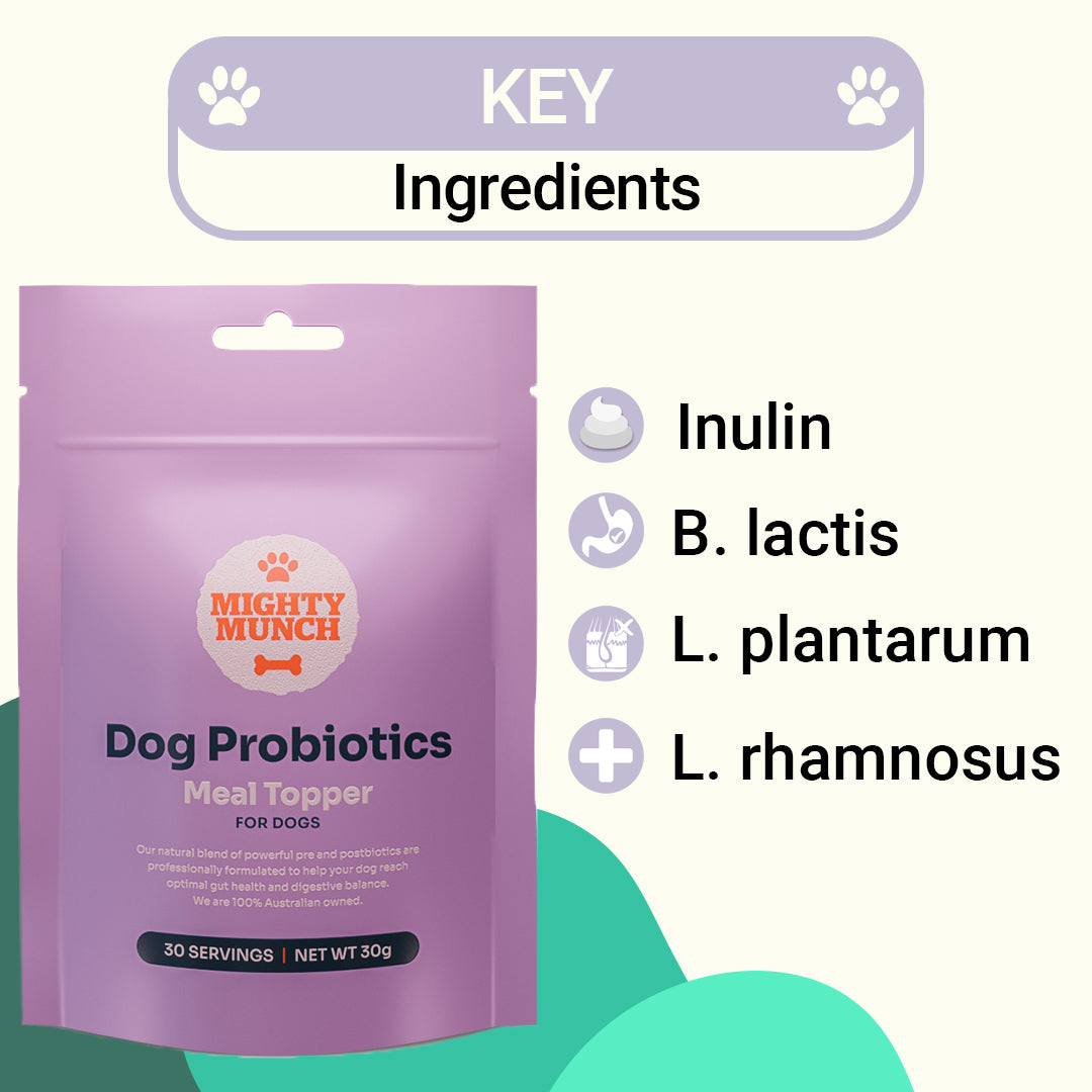 Dog Probiotics (Sale) (US)