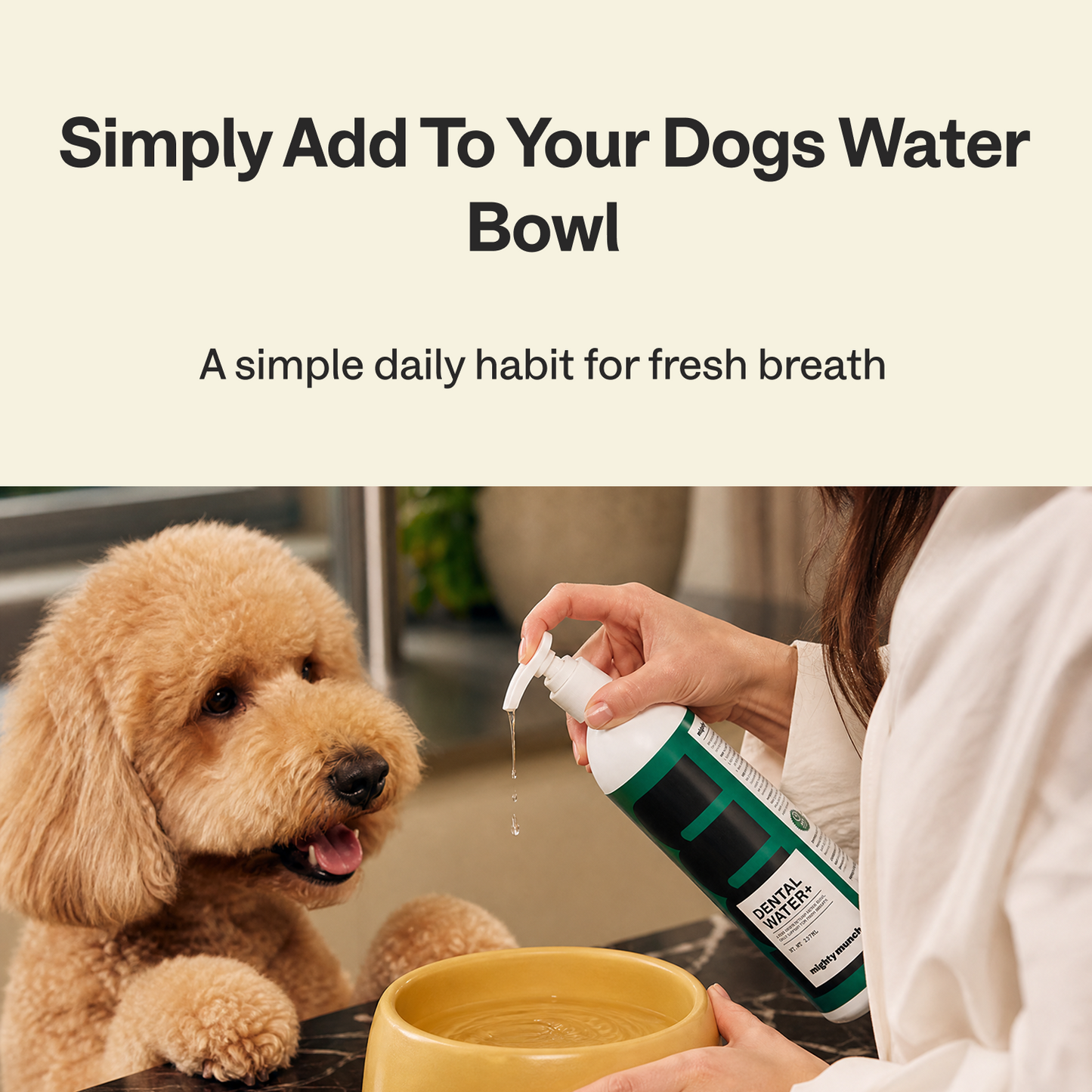 Dental Water+